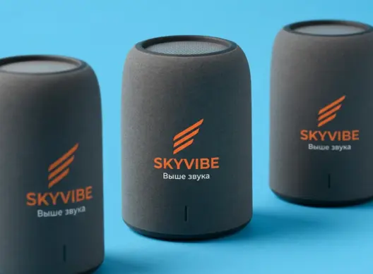 Колонки для команды дрон-рейсинга SkyVibe Dynamics