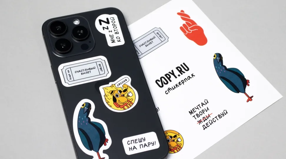  - картинка 11